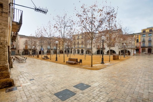 Plaça Major de Banyoles (tardor, foto de Harold Abellan). Font: web de Turisme de Banyoles