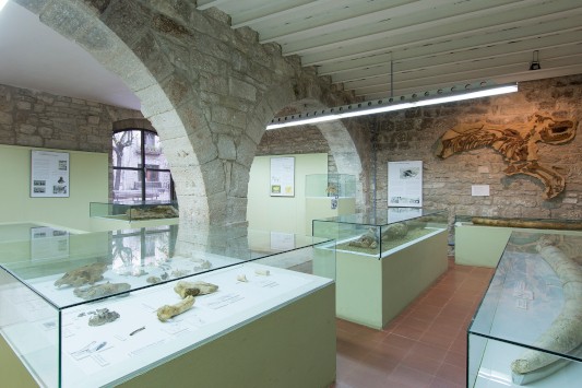 Museu Arqueològic Comarcal (foto de Harold Abellan). Font: web de Turisme de Banyoles