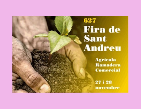 Cartell 2021 de la Fira de Sant Andreu. Font: agendatorroella.com 