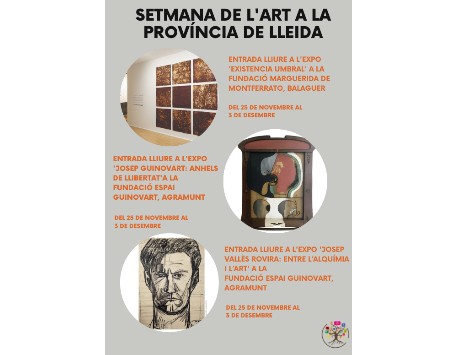 Setmana de l'Art a Lleida