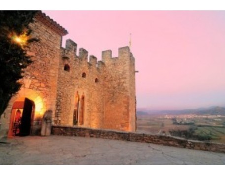 Visites guiades al Castell de Montsonís