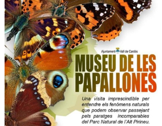 Visites al Museu de les Papallones de Catalunya