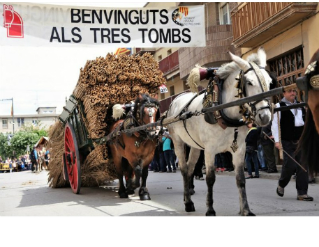 Festa dels Tres Tombs i Mercat Art Alimentari d'Anglesola
