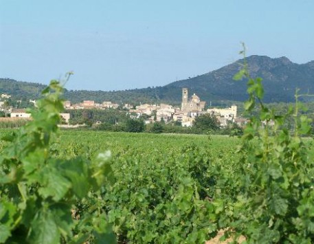 Poble de Garriguella a l'Alt Empordà amb les vinyes verdes en primer terme. Font: tripadvisor.es