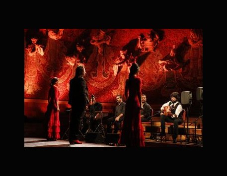 Espectacle 'Gran Gala Flamenc'