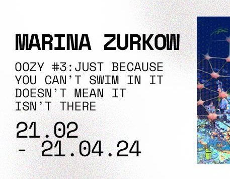 Marina Zurkow, OOzy #3: just because you can’t swim in it doesn’t mean it isn’t there