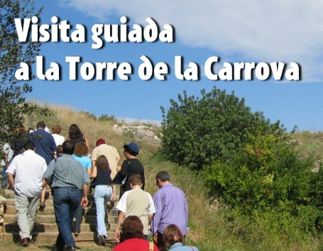 Visites guiades a la Torre de la Carrova