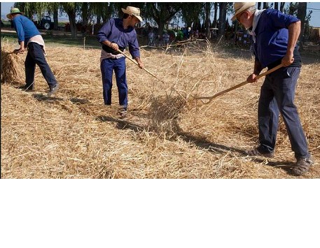 Festa del Batre. La Fuliola