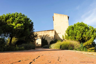 Col·lecció del Museu Municipal Castell (MMUC)