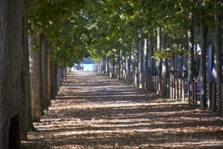 Passeig Dalmau que porta a l'Estany de Banyoles. Font: guiabanyoles.com