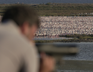 Visites i activitats a MónNatura Delta