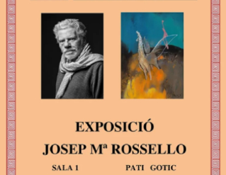 Exposició "Suite Ponciana i Experimental Da Vinci"