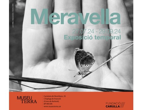 Exposició "Meravella"