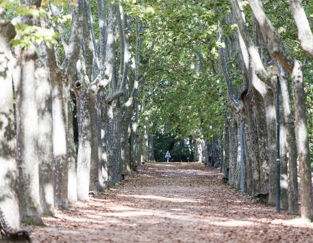 Parc de Sant Salvador. Font: web de l'Ajuntament (Turisme) 