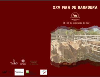 Fira de Barruera