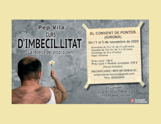 Curs d'Imbecil·litat