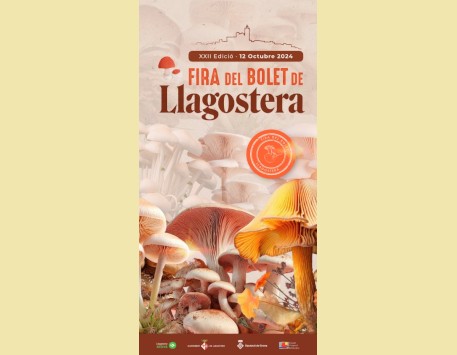 Cartell 2024. Font: web de l'Ajuntament de Llagostera 