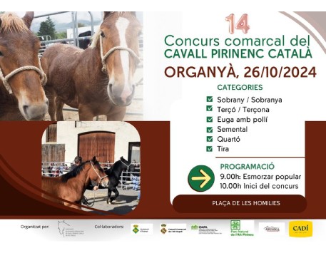 Concurs comarcal del Cavall Pirinenc Català a Organyà