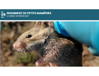 Seguiment de petits mamífers