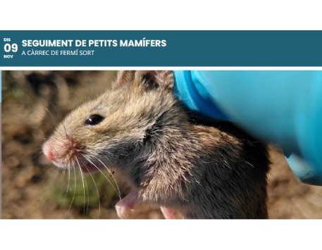 Seguiment de petits mamífers