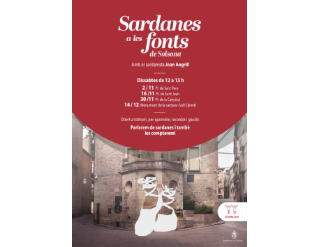 Sardanes a les fonts de Solsona