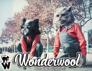 Wonderwool