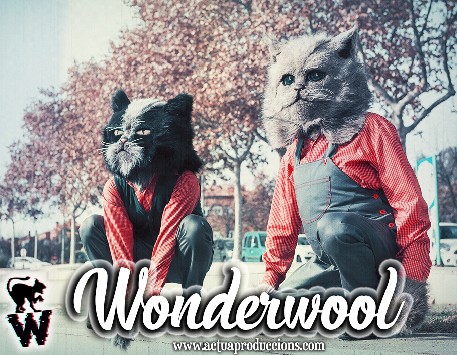 Cia. Actua Produccions Artístiques, amb 'Wonderwool'