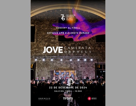 Concert de la Jove Orquestra Orpheus