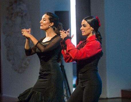 Concert-espectacle familiar "Flamenkat"