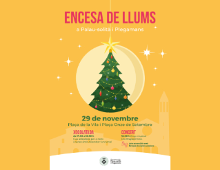 Encesa de Llums de Nadal a Palau-solità i Plegamans  