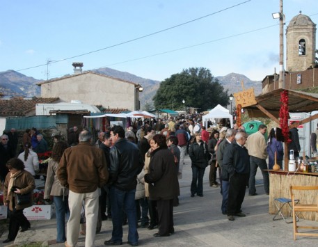 Imatge d'arxiu. Font: web de l'Ajuntament de La Vall d'en Bas 