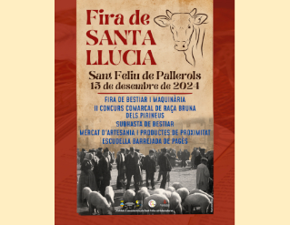 Fira de Santa Llúcia a Sant Feliu de Pallerols