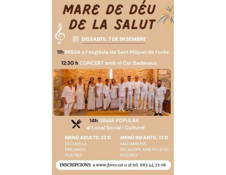 Festa de la Mare de Déu de la Salut