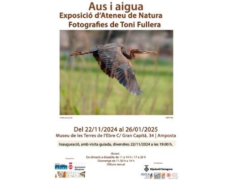 Exposició "Aus i aigua"