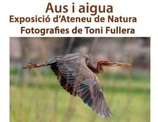 Exposició "Aus i aigua"