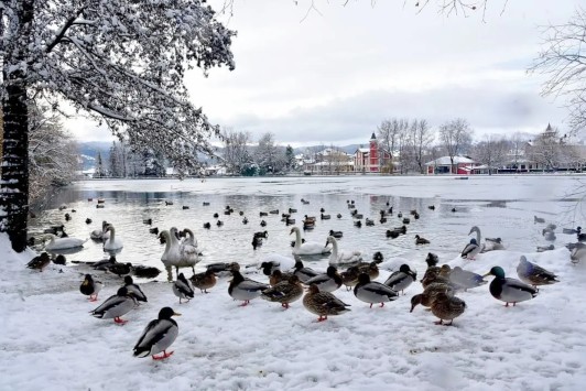 L'estany de Puigcerdà ben glaçat (foto de Toni Lora). Font: puigcerda.cat