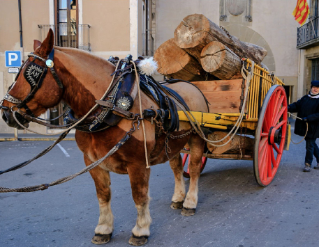 Festa dels Tres Tombs a Centelles