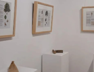 Exposició "Arbre, ecologia, societat, art"