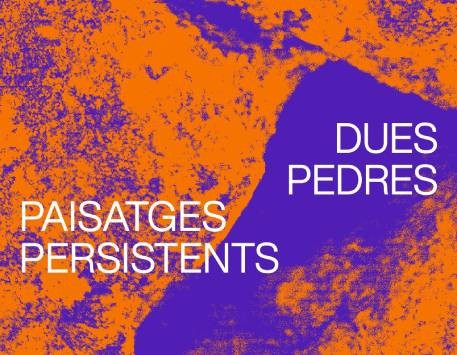 Exposició "Dues Pedres. Paisatges Persistents"