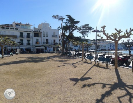 Anar a