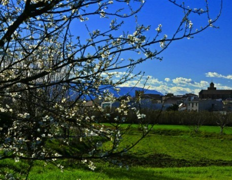 Anar a 