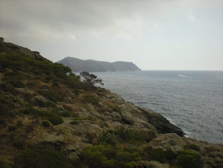 Anar a 