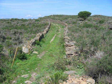 Anar a 