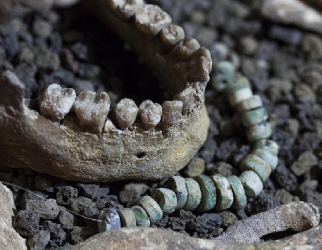 Exposició "Prehistòries. Catalunya abans de Catalunya"