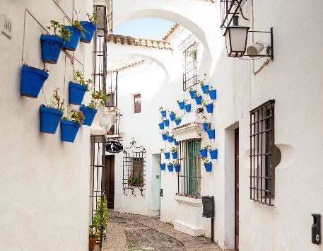 Anar a 