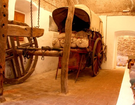 Anar a 