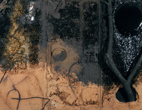 Imatge de l'exposició