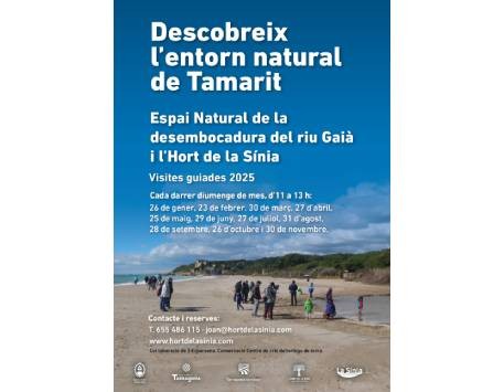 Anar a 