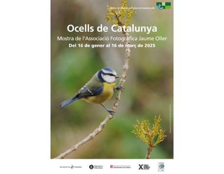 Exposició " Ocells de Catalunya"