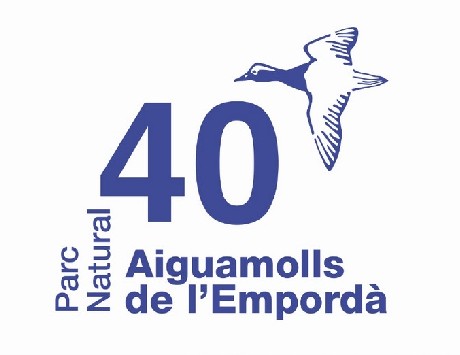 Anar a 